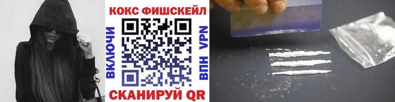 Cocaine FishScale  Купить где  Котовск 