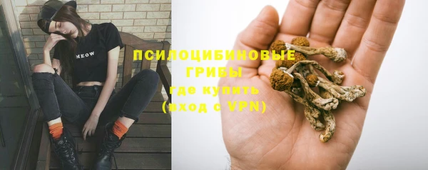 кристаллы Козельск
