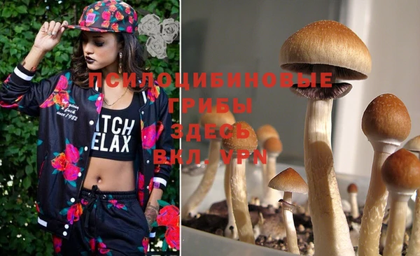 винт Кодинск