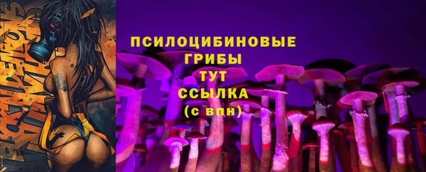 амфетамин Козловка