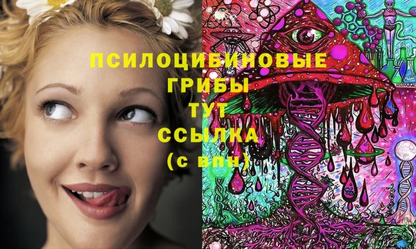 винт Кодинск