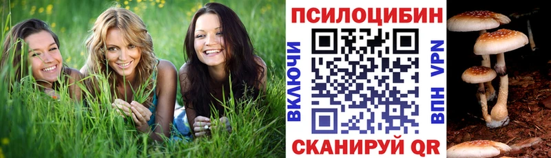 Купить где  Котовск  Псилоцибиновые грибы MAGIC MUSHROOMS 